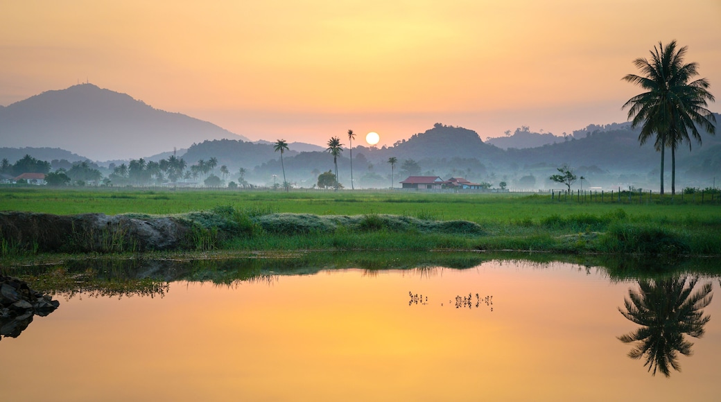 Beautiful golden sunrise on countryside in Langkawi, Malaysia with reflection on the lake. Coconut trees and morning fog at the horizon. Copy space.