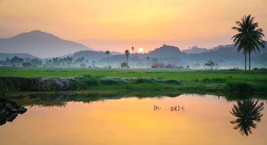 Beautiful golden sunrise on countryside in Langkawi, Malaysia with reflection on the lake. Coconut trees and morning fog at the horizon. Copy space.