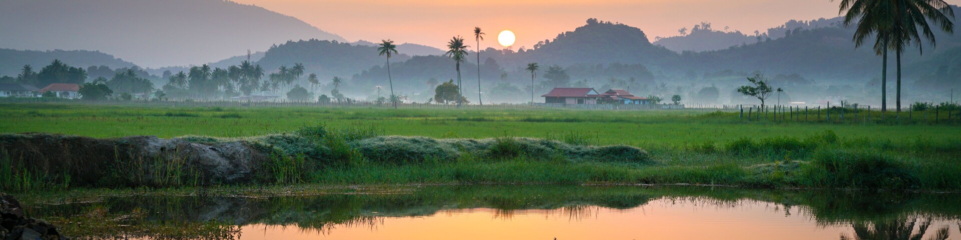 Beautiful golden sunrise on countryside in Langkawi, Malaysia with reflection on the lake. Coconut trees and morning fog at the horizon. Copy space.