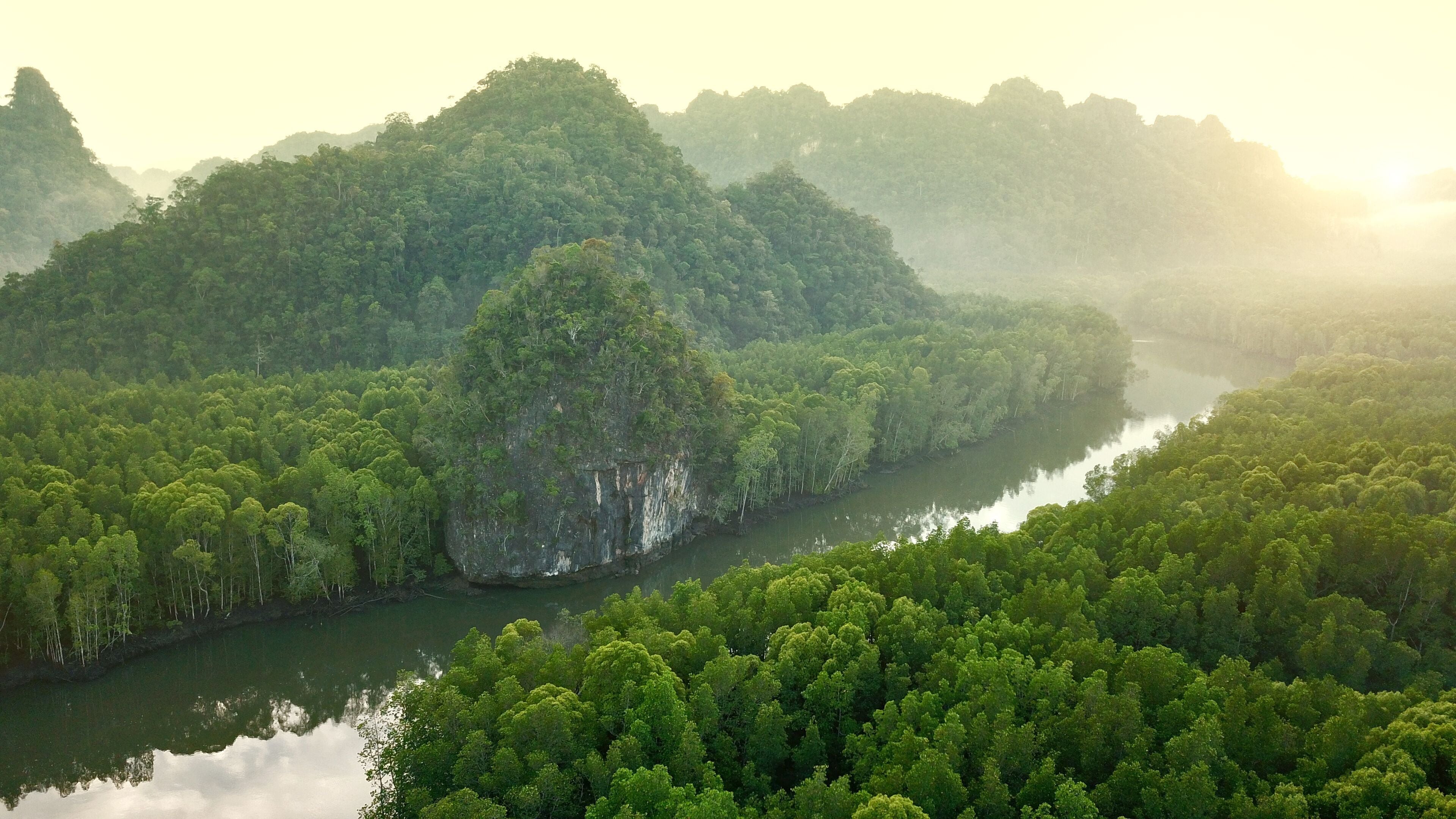 Sunrise in the rainforest. langkawi forest ,drone view