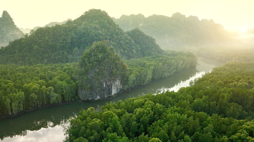 Sunrise in the rainforest. langkawi forest ,drone view