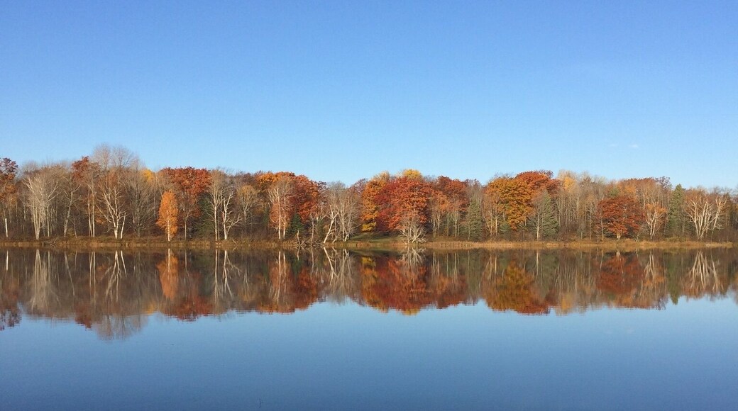 Badger lake Lost Lake Woods Club, Lincoln Michigan