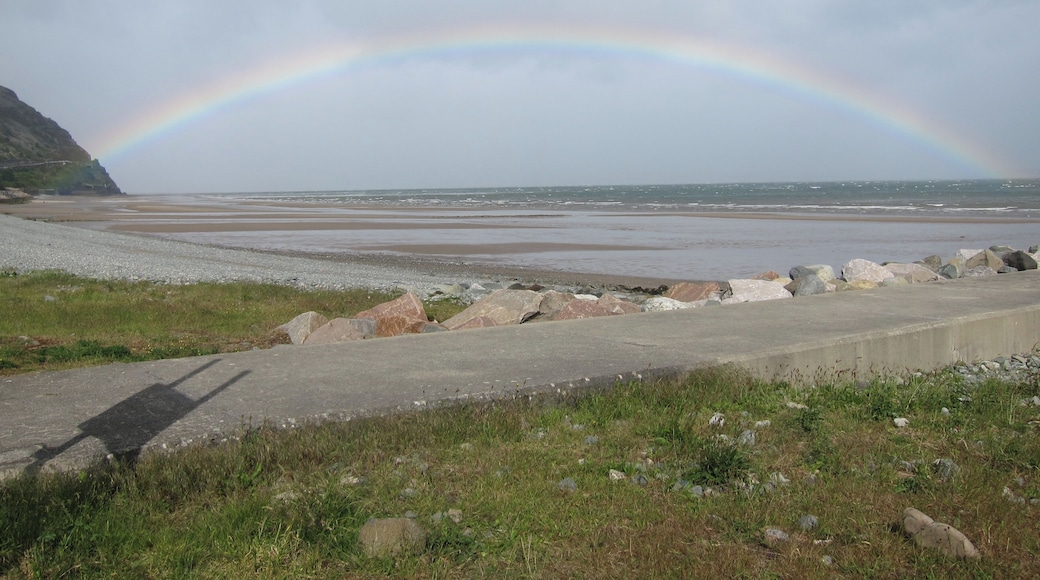 Pretty much sums up how the day had gone: weird and wild. Had to walk about a quarter of the way from Benllech to Menai Bridge, and then was blown along this coastal route to Conwy. After that it was 2-3 hours of rain and strong winds.