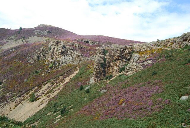 Un paisaje montañoso y agreste, con afloramientos rocosos y parches de brezo púrpura.