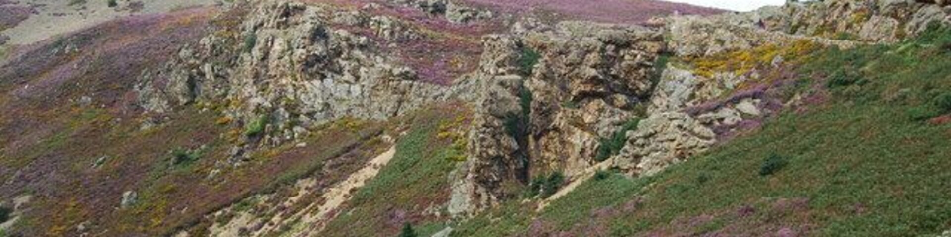Un paisaje montañoso y agreste, con afloramientos rocosos y parches de brezo púrpura.