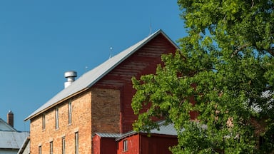 Lidtke Mill