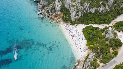 View from above, stunning aerial view of a beautiful beach full of beach umbrellas and people sunbathing and swimming on a turquoise water. Cala Gonone, Sardinia, Italy.