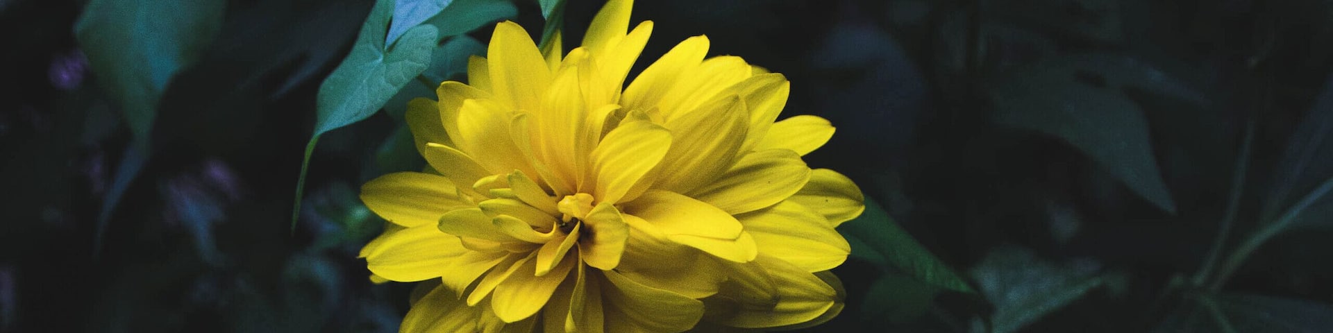 Lagoon City also had some 'hidden' greenery and flowers on different paths and bridges.