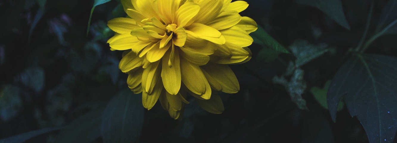 Lagoon City also had some 'hidden' greenery and flowers on different paths and bridges.