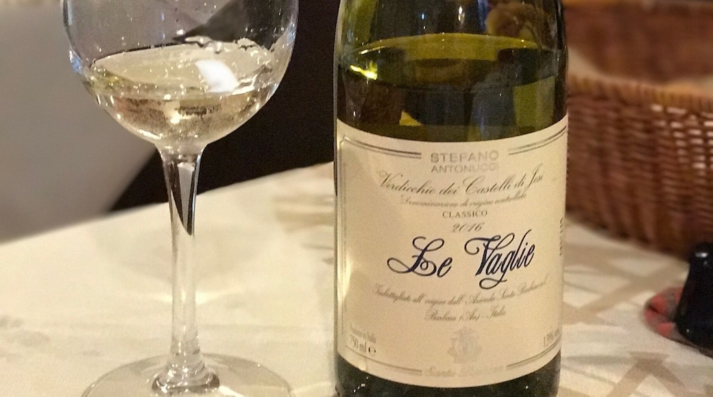 Nidatore, great Italian family restaurant. Pure and lovely Italian food