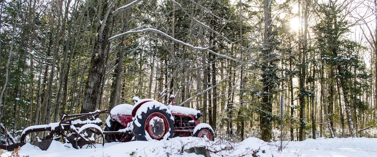 A snow-covered tractor in a forest.