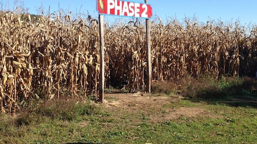 Cool farm we checked out today. $8 entry fee to get in. They have a massive corn maze which we got crazy lost in. Was only suppose to take a 30 minutes but took us an hour and... That was the small maze (phase 1). Phase 2 takes well over an hour. This years maze was themed the blue jays. So if you look at if from a helicopter you can see the Toronto blue jays logo and all the lines. They offer a small lunch of hot dogs, corn on the cob, French fries, and they also have pumpkin and squash soup or leek and potato. They have wagon rides and pumpkin picking available. Really cute place. Delicious ginger cookies too! Also if you view this area on sattlelight view you can see the last theme they had when Google took its photo. Zoom in and enjoy.