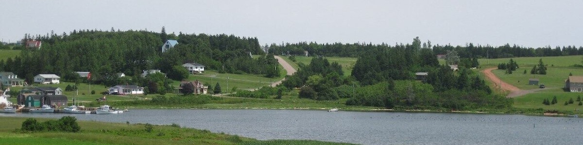 Canola in full bloom near New Glasgow, PEI.