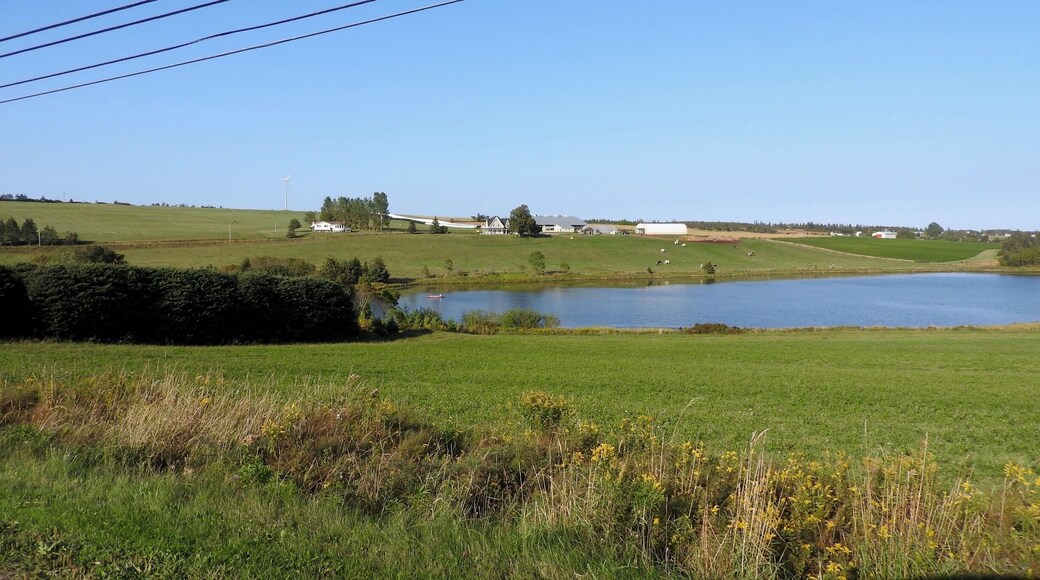 Rolling hills and pristine farms.