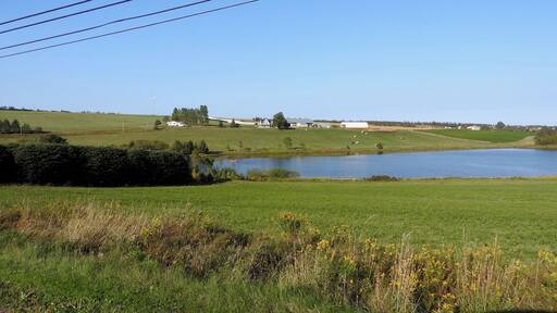 Rolling hills and pristine farms.
