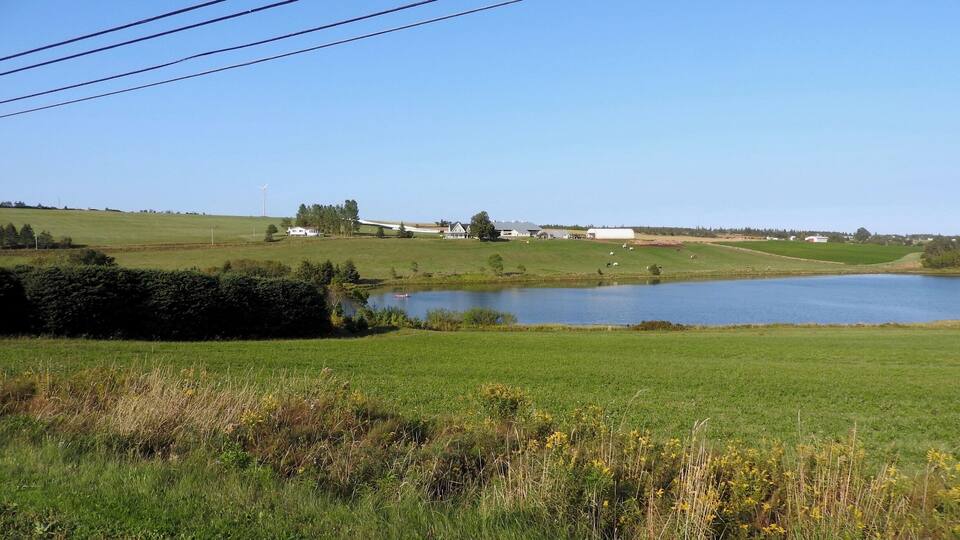 A rural landscape with a pond, green fields, and a few buildings in the distance.