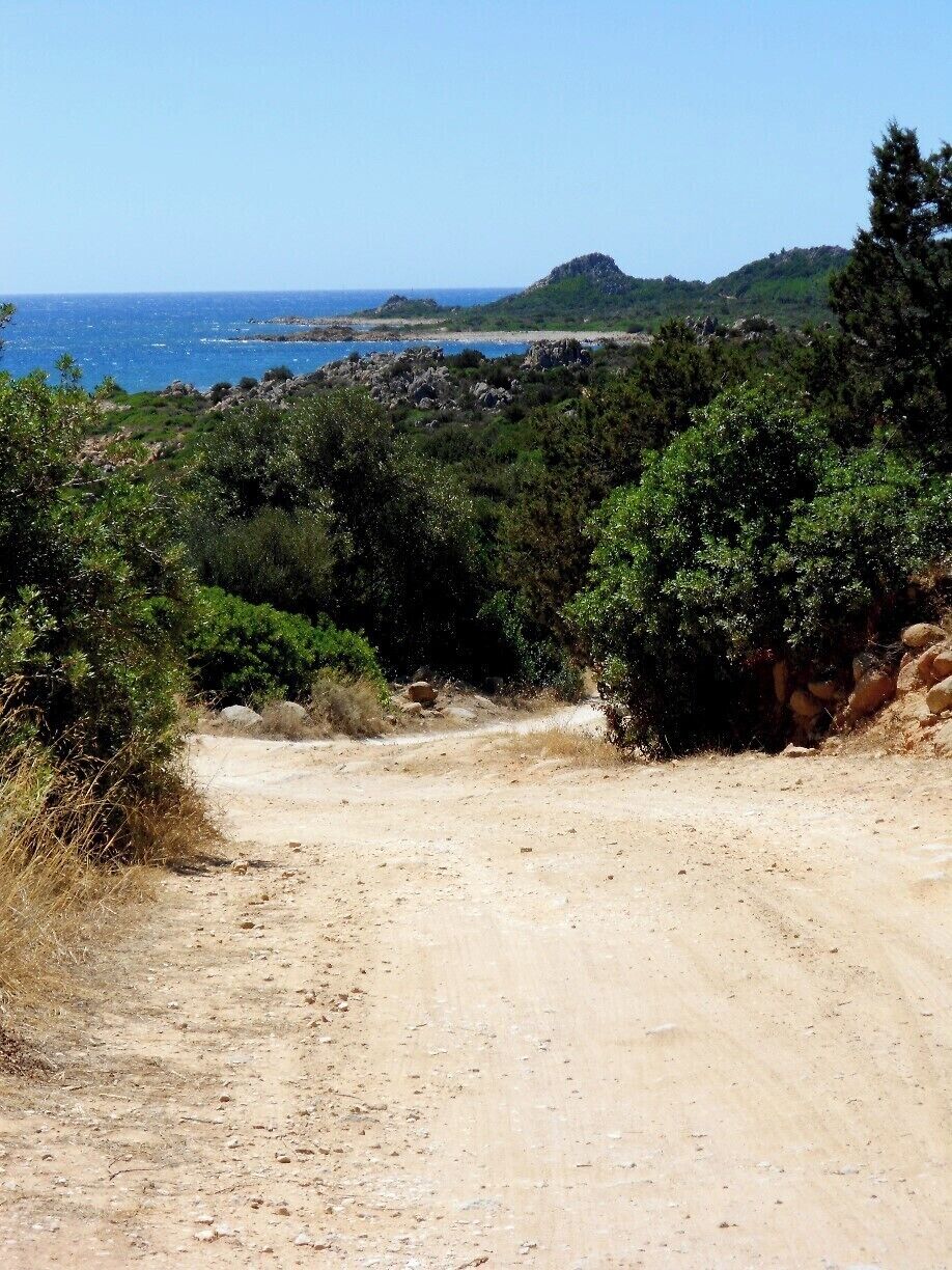 Mountainbiking through the national park at Santa Lucia