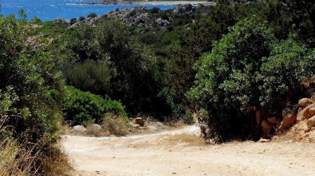 Mountainbiking through the national park at Santa Lucia