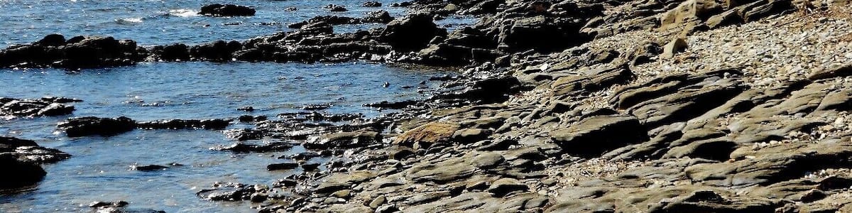 Beautiful, quiet beach on the mountainbike trail