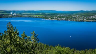 Un lac entouré de forêt et une petite ville.