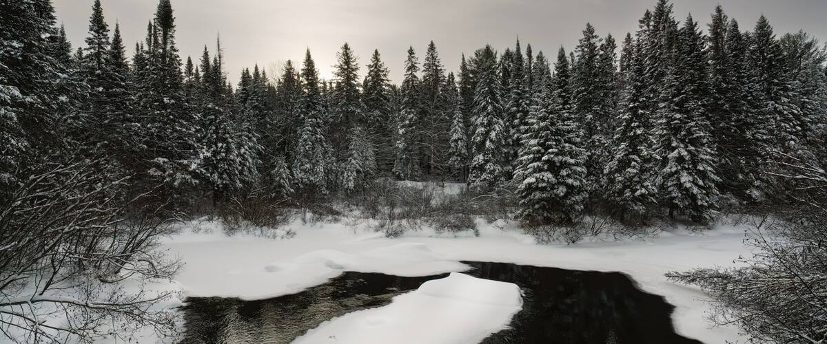 A hike along the Old Railway Bike Trail during winter at Madawaska River in Algonquin Park, Ontario