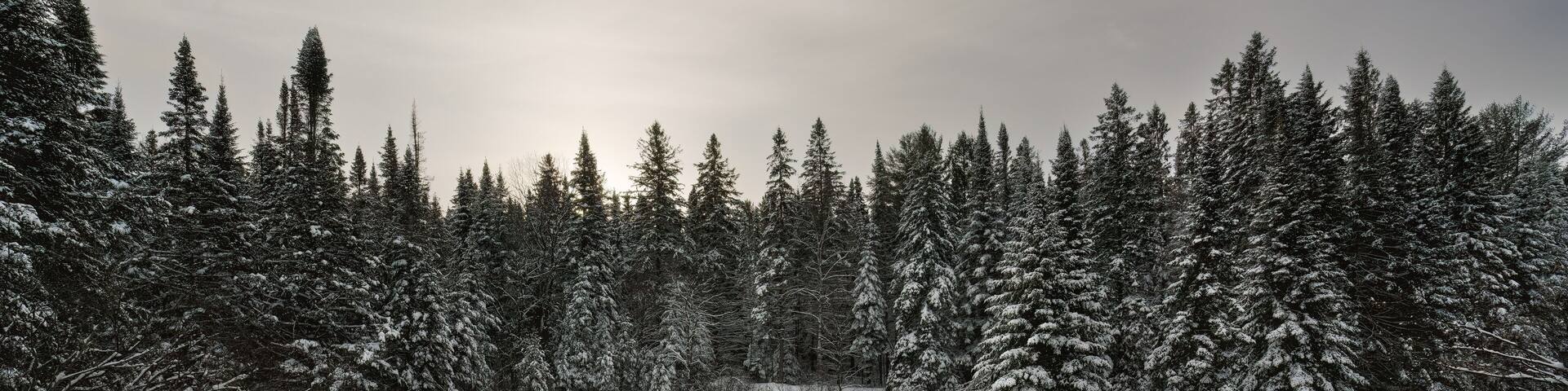 A hike along the Old Railway Bike Trail during winter at Madawaska River in Algonquin Park, Ontario