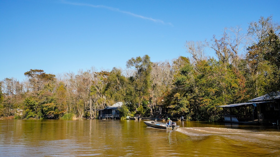 A cajun fisherman in a small boat makes his way down the Pearl River in Louisiana near a cajun fishing camp.