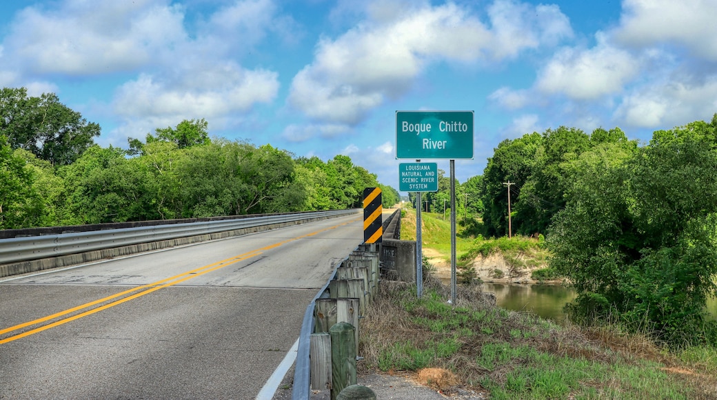 Bogue Chitto River bridge in Louisiana