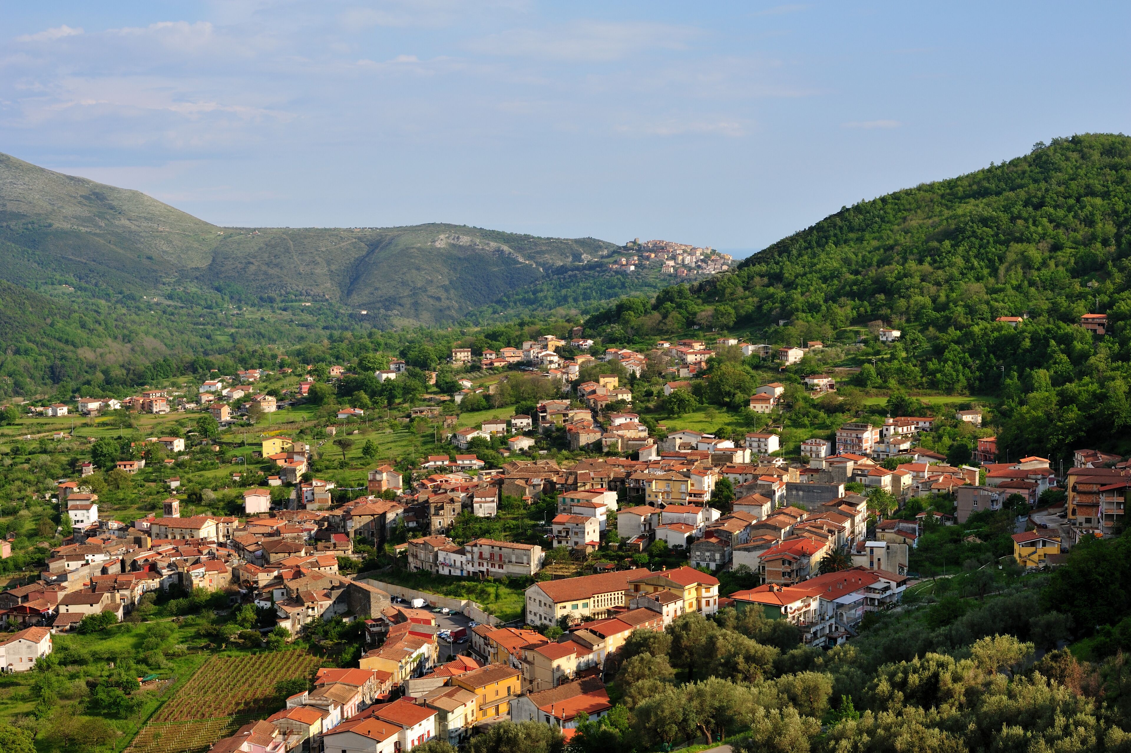 A hillside village with terraced houses and vineyards.