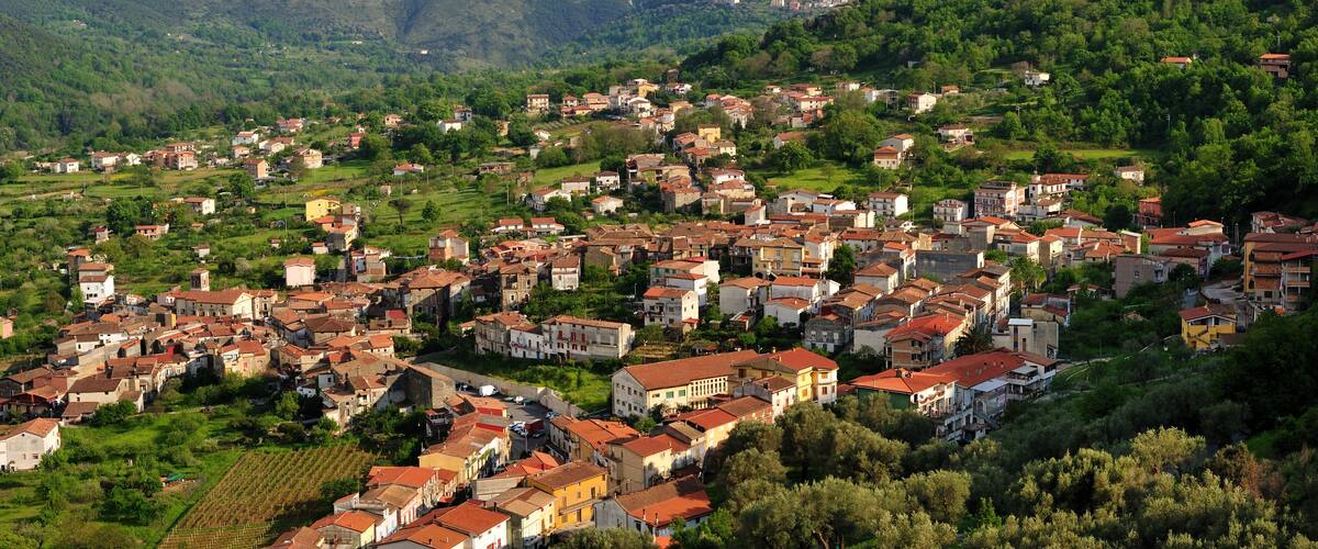 A hillside village with terraced houses and vineyards.
