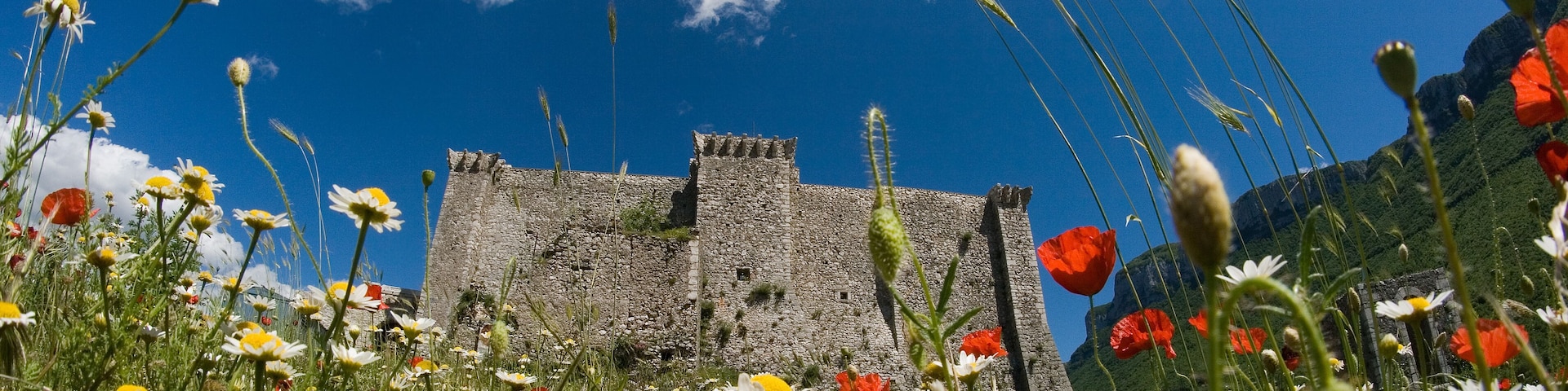 Inside italian summer:art,sun,flowers and colours