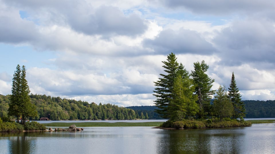 A calm lake surrounded by dense forest and a cloudy sky.
