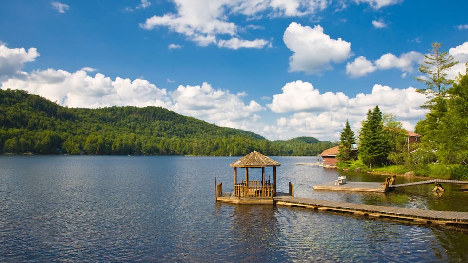 A wooden gazebo on a lake surrounded by lush greenery and a clear blue sky.