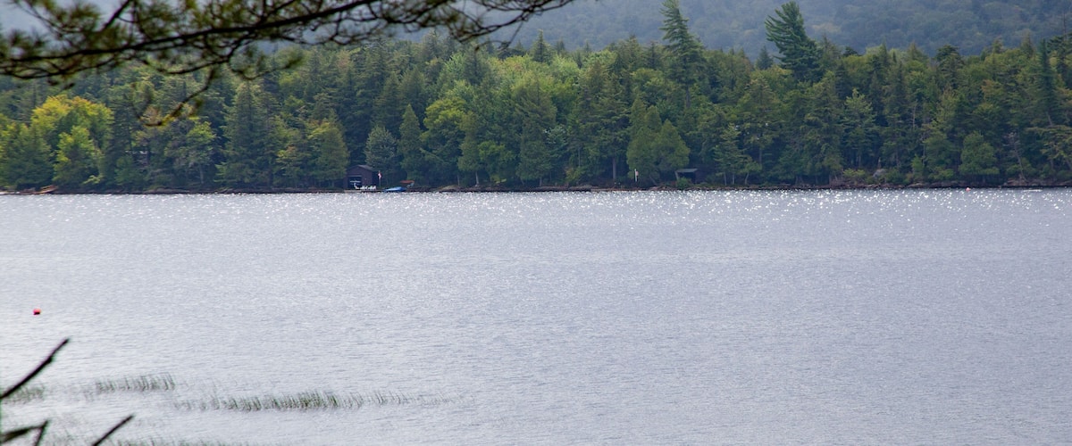 A calm lake surrounded by dense forest.