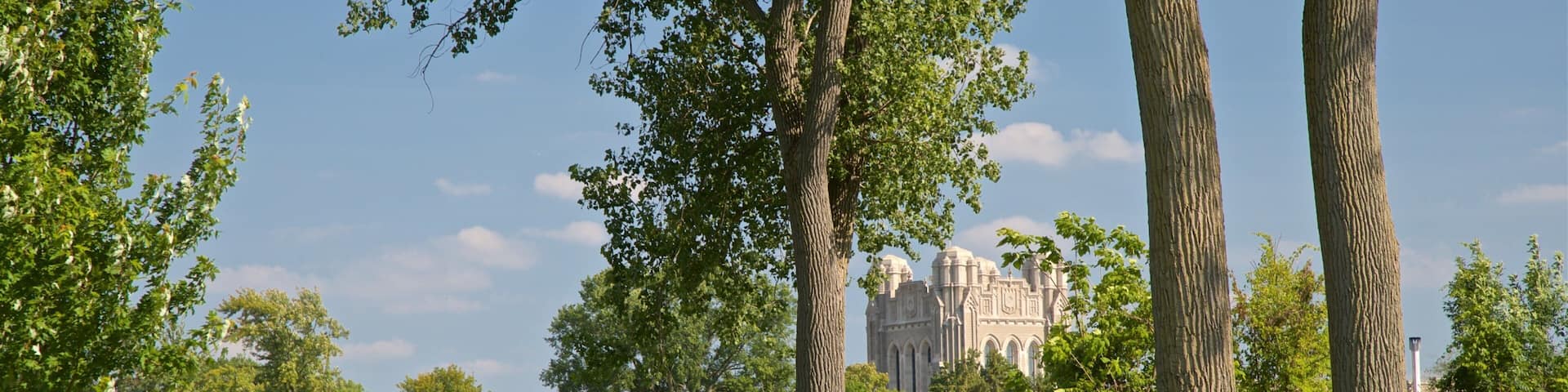 A park with tall trees and a historic building in the background.