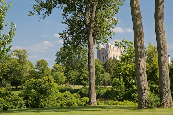 Ein Park mit hohen Bäumen und einem historischen Gebäude im Hintergrund.
