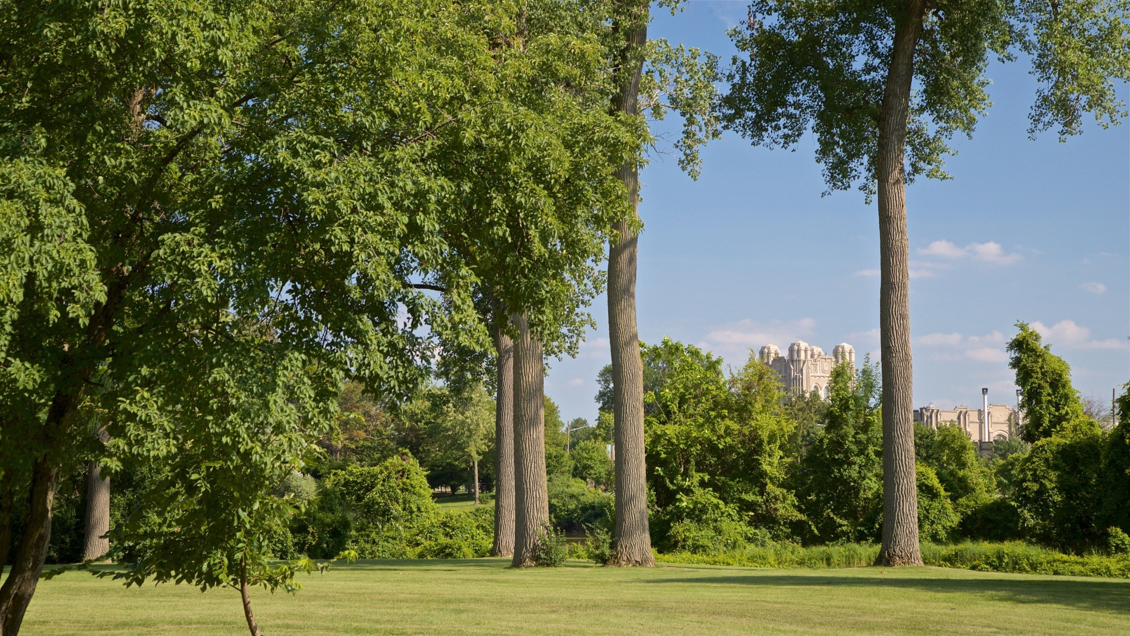 Isla Ojibway ofreciendo un jardín