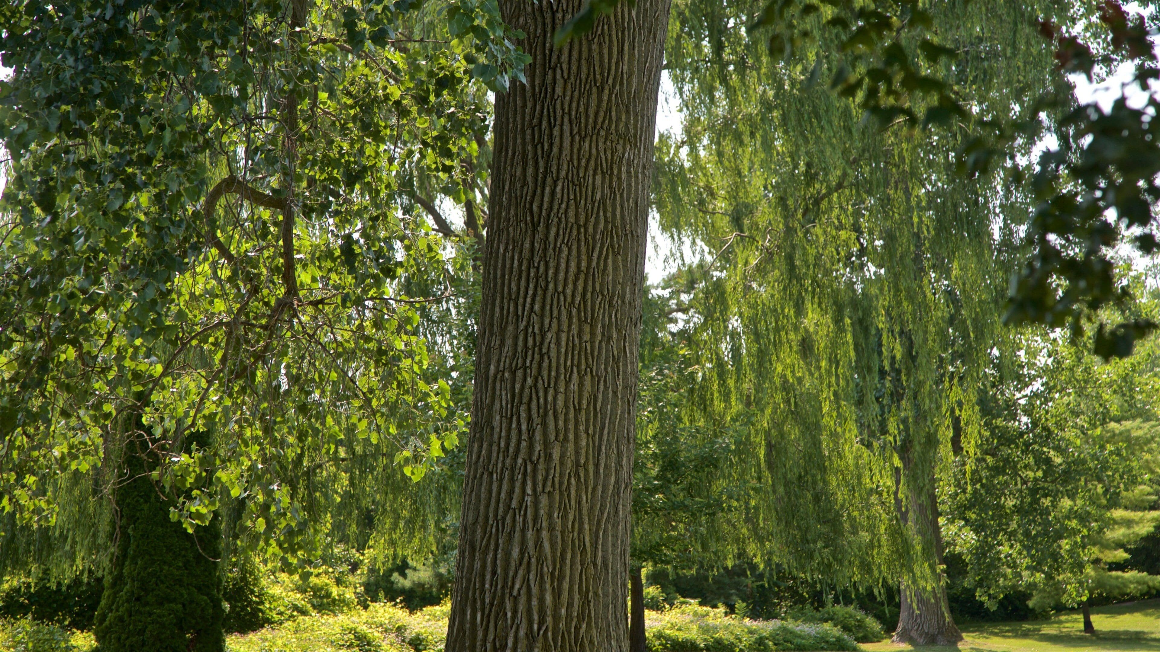 Ojibway Island som inkluderer park
