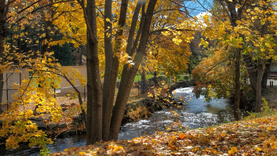 A river with autumn leaves, trees, and a fence in the background.