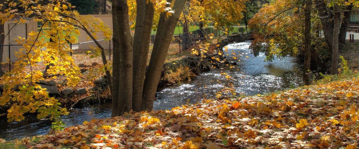 A river with autumn leaves, trees, and a fence in the background.