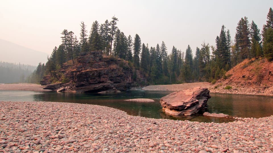 A river with a rocky shore, surrounded by dense forest and mountains in the background.
