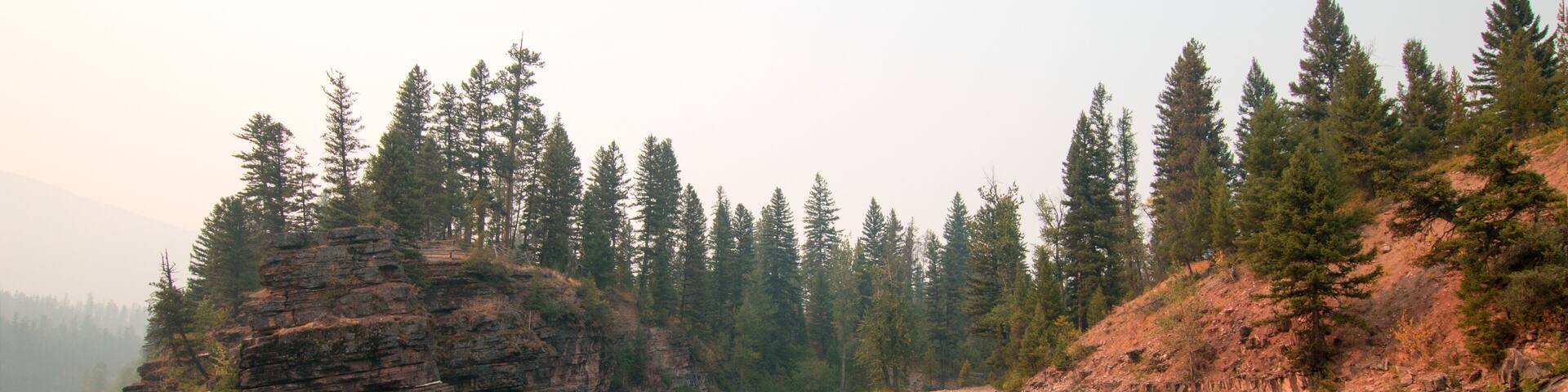 A river with a rocky outcrop and dense forest.