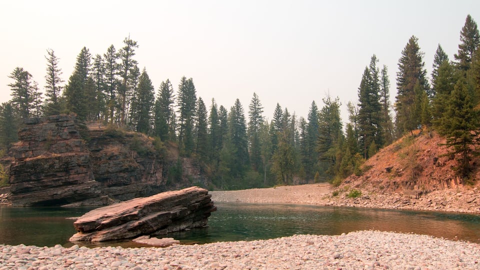 A river with a rocky outcrop and dense forest.