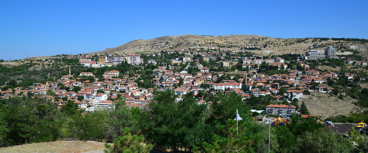 A hillside town with red-roofed houses, a hill in the background, and some greenery in the foreground.