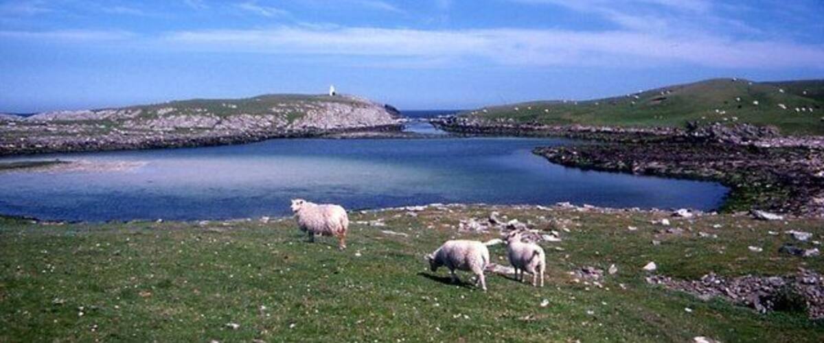 Ein See, umgeben von grasbewachsenen Hügeln, ein Leuchtturm und weidende Schafe.