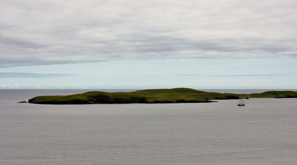 Treasure Island IMG_3539