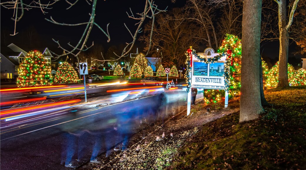 A street lined with Christmas trees and a sign for McAllenville.