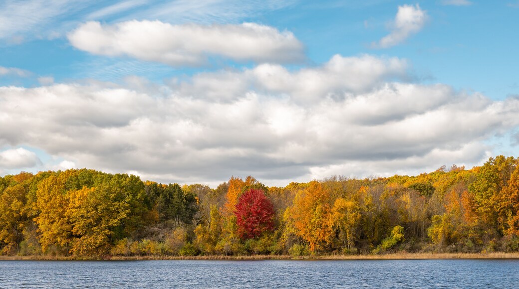 Seven Lakes shoreline in autumn colors, at Seven Lakes State Park, Holly, Michigan.