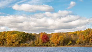 Seven Lakes shoreline in autumn colors, at Seven Lakes State Park, Holly, Michigan.