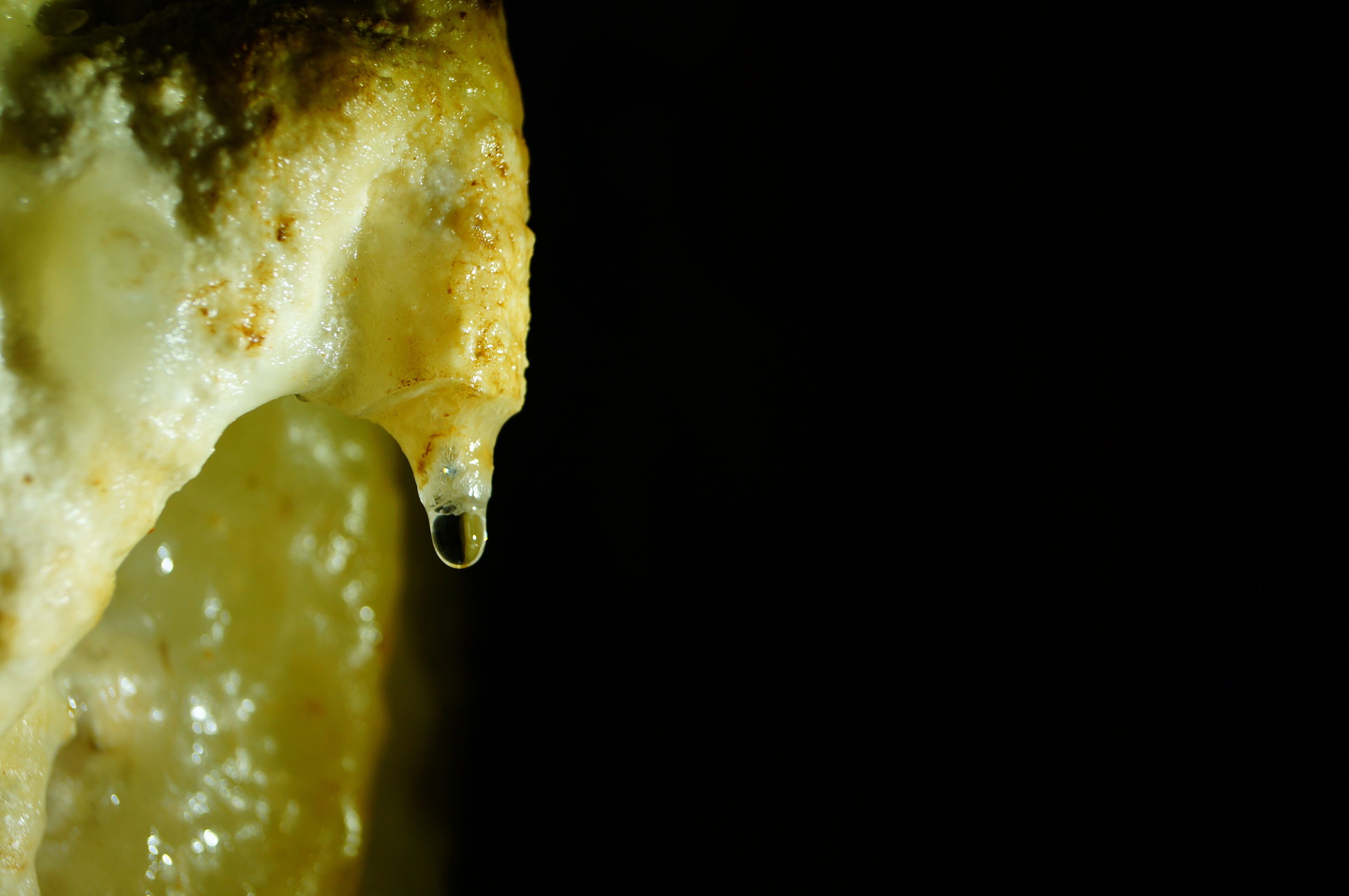 water drop in a cave bustamante Mexico 00
